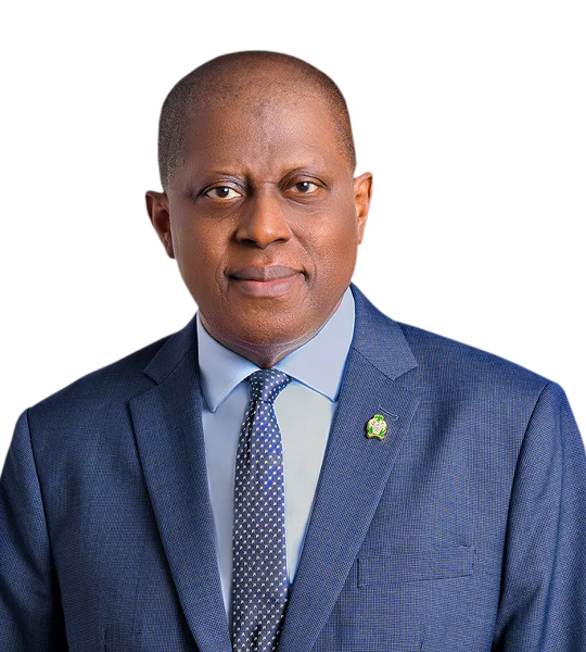 Dr. Olayemi M. Cardoso