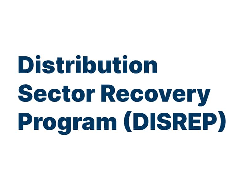 Distribution Sector Recovery Program (DISREP)